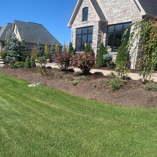 A beautifully landscaped front yard with lush green grass, neatly arranged plants, and a stunning stone house in the background.